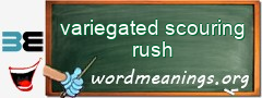 WordMeaning blackboard for variegated scouring rush